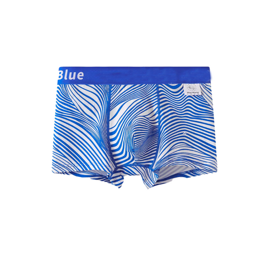 Men's blue stripe print Underwear